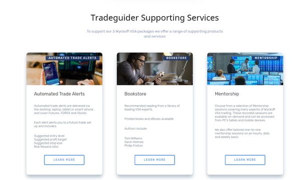 Support services page on new Tradeguider website | HubSpot CMS